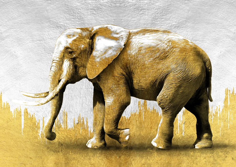 Tablou canvas: Elefant Aurit pe Fundal Neutru - Thumbnail 2