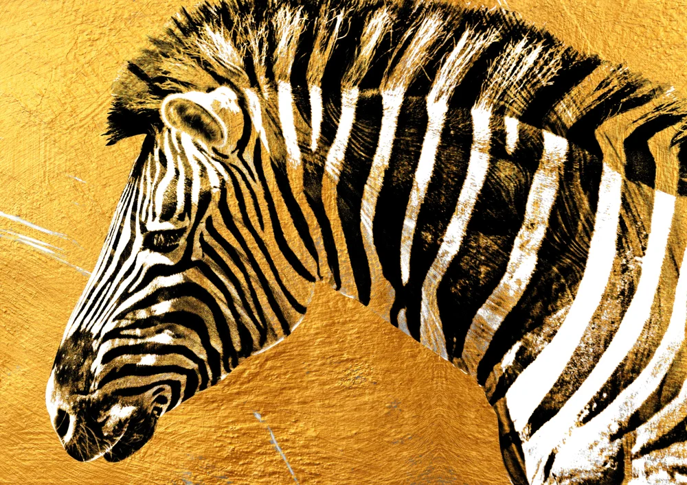 Tablou canvas: Portret de Zebră pe Fundal Auriu - Thumbnail 2