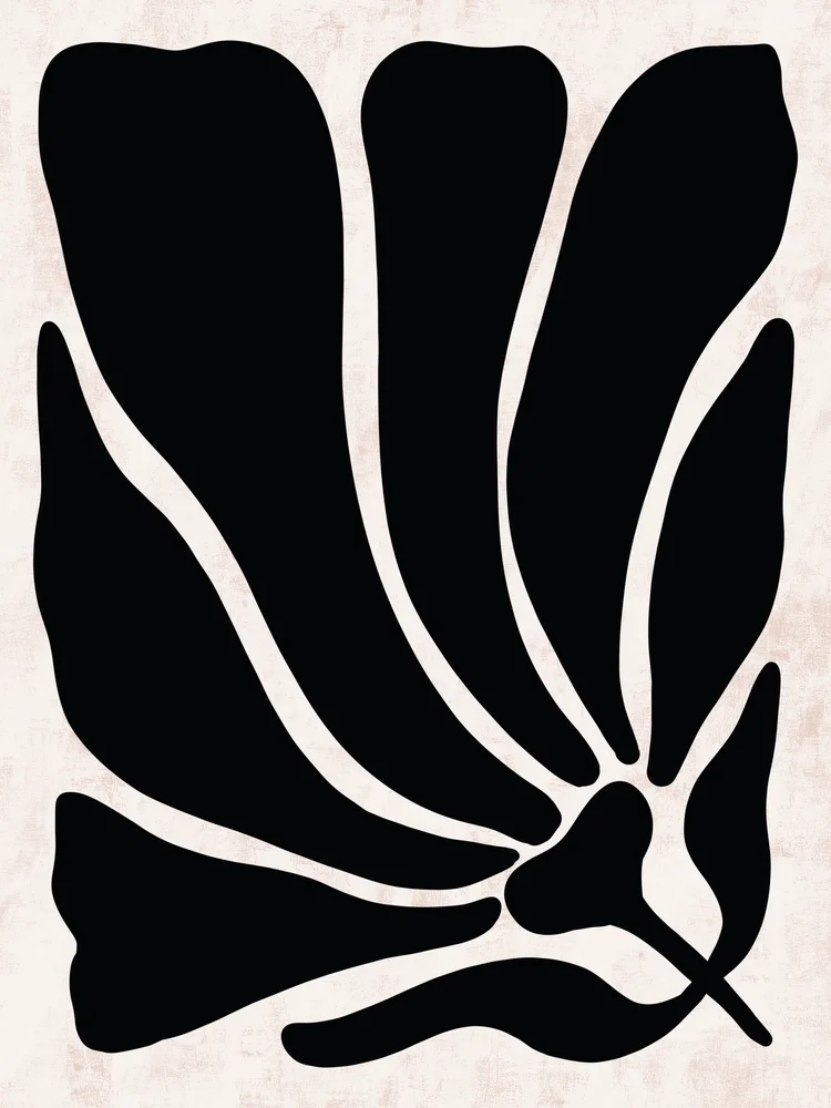 Tablou canvas: Forme Organice în Negru și Alb - Thumbnail 2