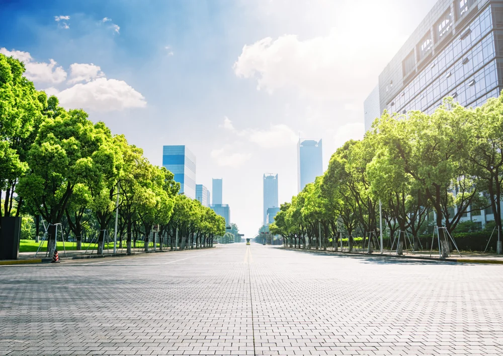 Tablou canvas: Bulevard Verde în Oraș Modern - Thumbnail 2